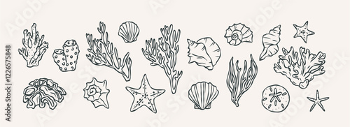 Hand drawn shells and corals collection. Whimsical illustration