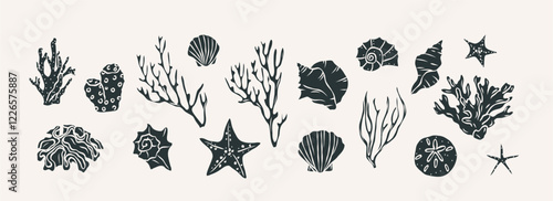 Flat vector shells and corals collection. Whimsical illustration