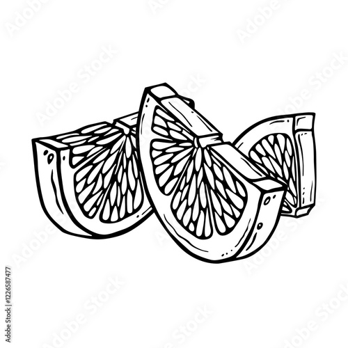 Citrus fruit pieces. Lemon or lime hand drawn ink graphic. Linear drawing. Outline sketch of citron. Black line art of chopped grapefruit for kitchen textiles, packaging, label, menu or other printing