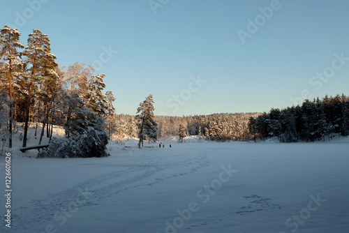 Photography Winter