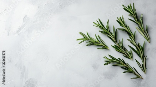 Rosemary sprigs arranged on textured background. Food recipe blog, website, or cookbook