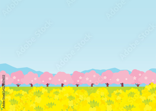 桜並木と菜の花畑の春っぽい背景イラスト