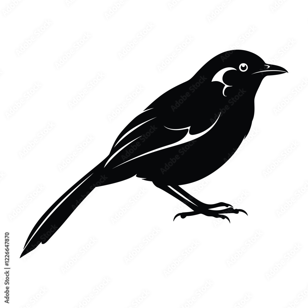 Fototapeta premium Abbott's babbler silhouette vector illustration.