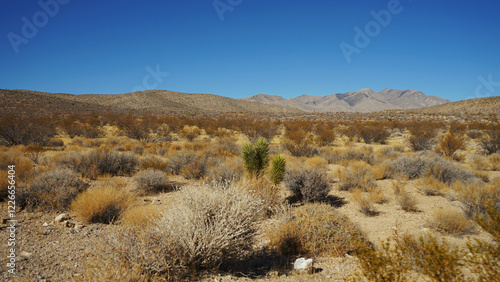 Goodsprings Mining Ghost Town in Nevada