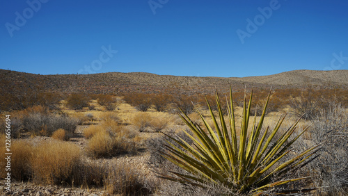 Goodsprings Mining Ghost Town in Nevada