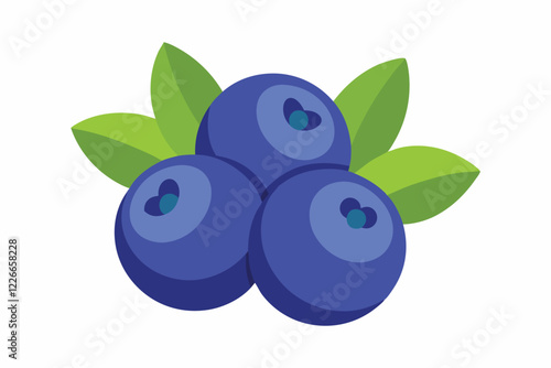 blueberries with leaves