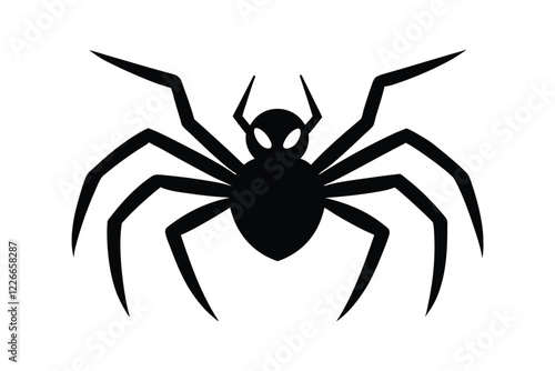 spider isolated on white background