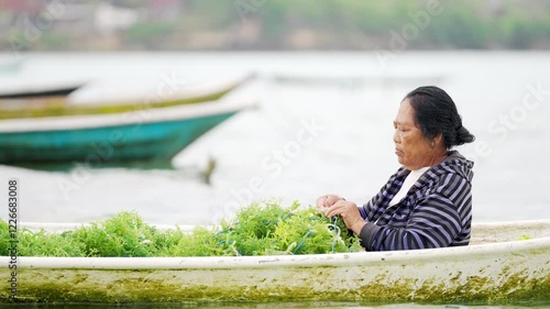 Woman farmer on seaweed farm tying seedlings to a rope on boat, rural coastal farming, Eucheuma cottonii photo