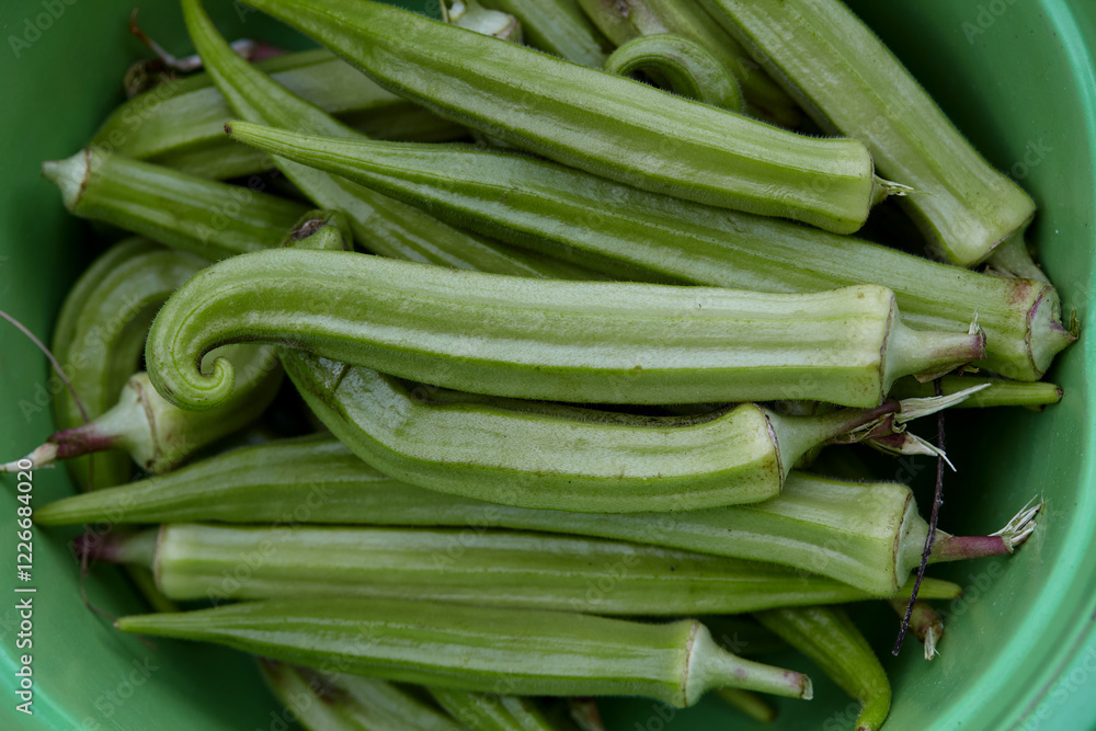 Close-up view of Okra in bowl Close-up view of Okra in bowl