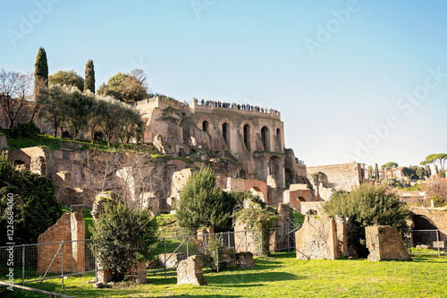 Photography Ancient ruins on Palatine Hill with greenery in Rome, Italy