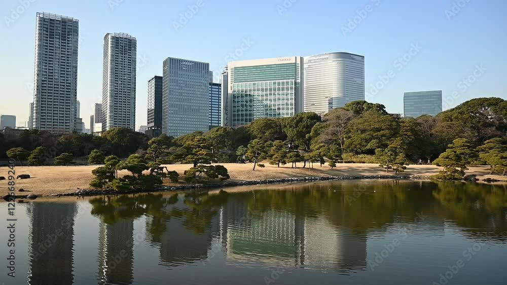 Tokyo Japan, reflections of buildings of the cityscape of Tokyo city in the water of the pond in the Japanese Hamarikyu Gardens at daytime with blue sky in winter in Japan. Tokyo Japan, reflections of buildings of the cityscape of Tokyo city in the water of the pond in the Japanese Hamarikyu Gardens at daytime with blue sky in winter in Japan.
