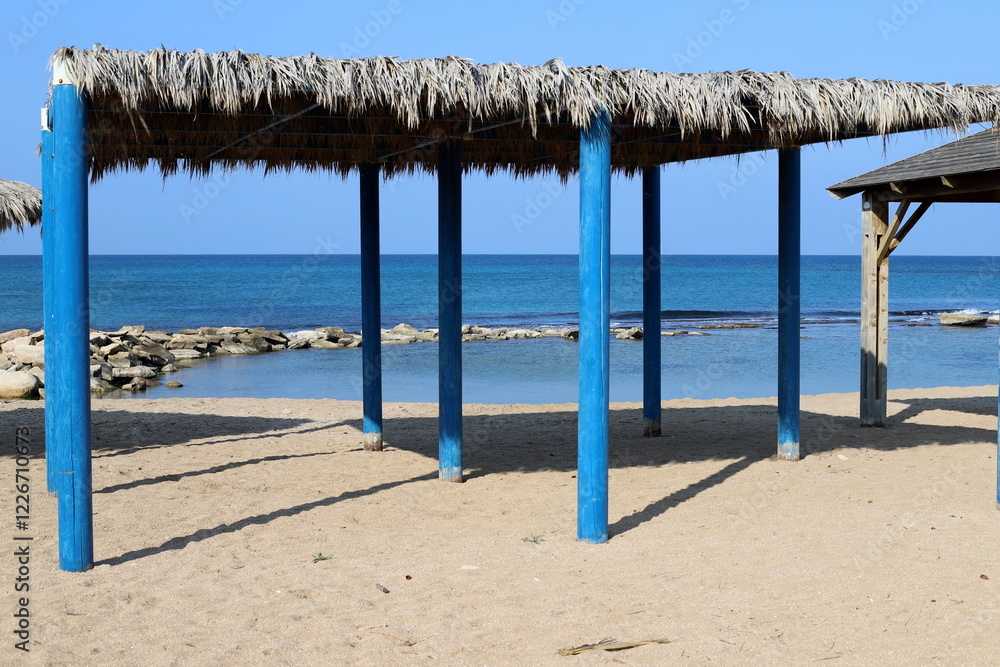 Fototapeta premium sunshade in city park on the seashore