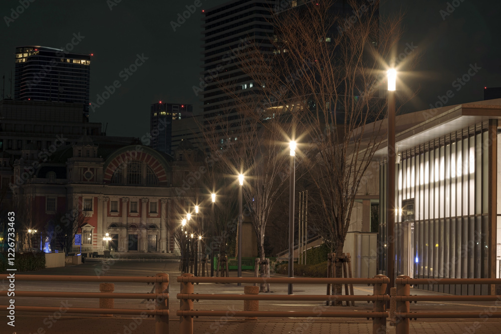 Fototapeta premium 大阪市北区中之島・夜の中ノ島通