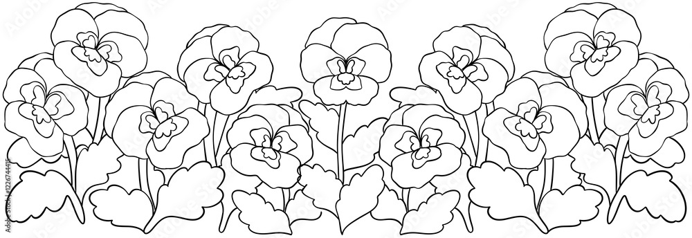 Violet flowers line drawing Violet flowers line drawing