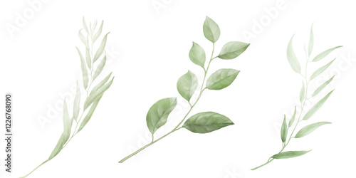 Spring branch with green leaves in set Watercolor digital illustration. Apple and willow leaves in botanical illustration isolated on white background. For wedding invitation or greeting card.