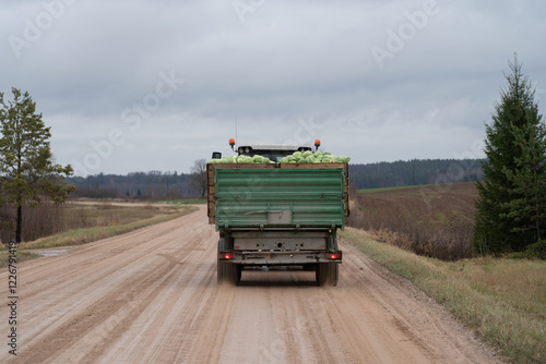 truck in the countryside
