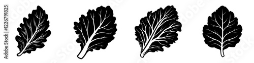 Detailed illustrations of various lettuce leaves showcasing natural shapes and textures for culinary use and design inspiration