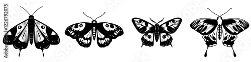 Various butterfly illustrations showcasing unique patterns and designs on wings in black and white