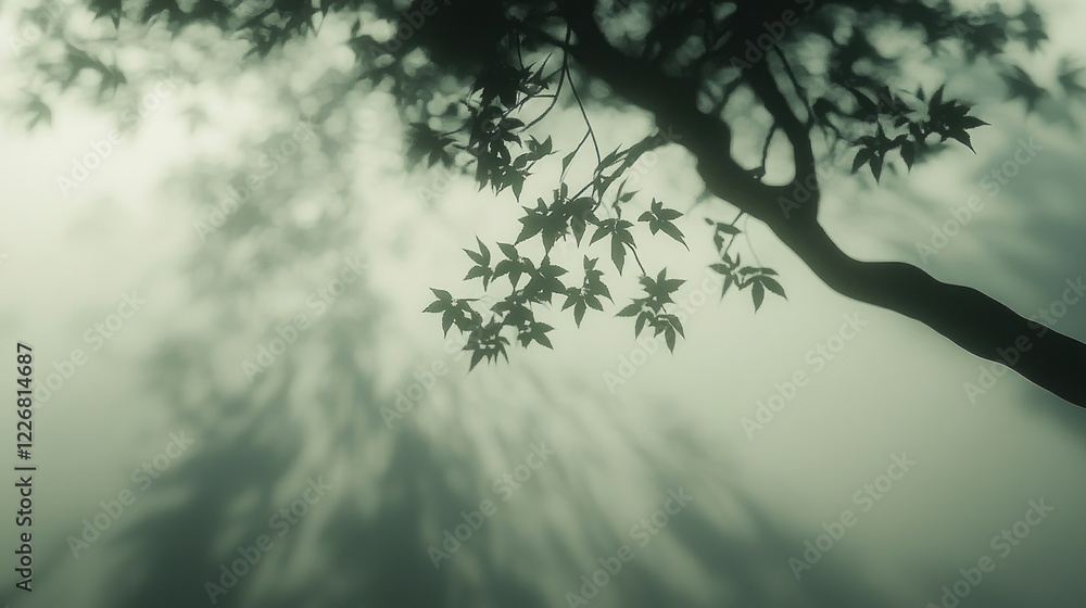 Fototapeta premium Misty forest tree branch silhouette, shadows, nature background, game design