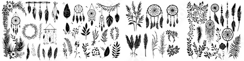 Botanical illustrations of plants and dreamcatchers in black and white for creative design inspiration