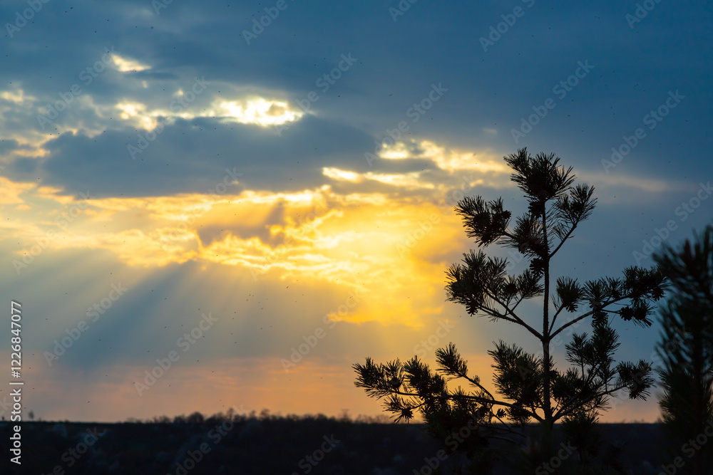 Sunset view over the hills in Ternopil oblast, Ukraine showcasing beautiful clouds and sun rays filtering through the sky Sunset view over the hills in Ternopil oblast, Ukraine showcasing beautiful clouds and sun rays filtering through the sky
