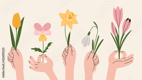 Various hands holding the first spring flowers like tulip, daffodil, violet, crocus and snowdrop. Gestures, human arms. Modern vector isolated illustration, hand drawn, flat design