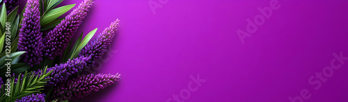 Purple flowers corner on violet background