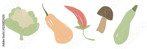 Collection of farm vegetables illustrations. Cauliflower, pumpkin, mushroom, pepper, squash. Hand drawn.