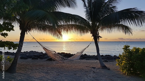 Tropical beach sunset hammock relaxation ocean photo