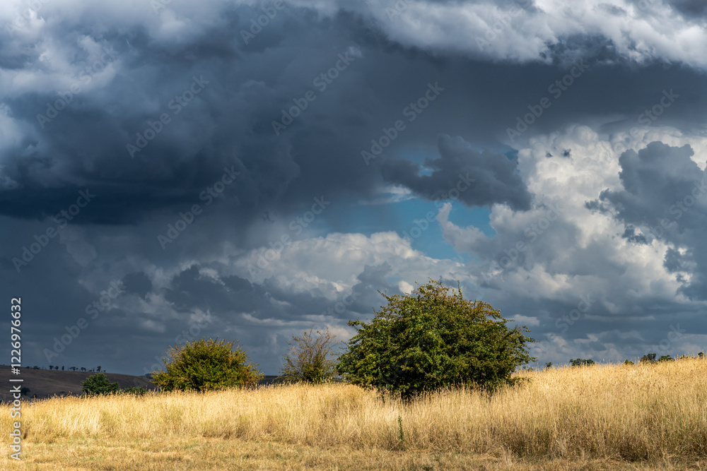 Fototapeta premium Summer storms over the countryside
