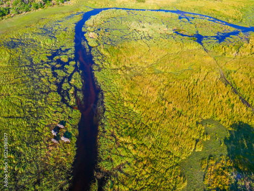 Okavango landscape in Botswana. photo