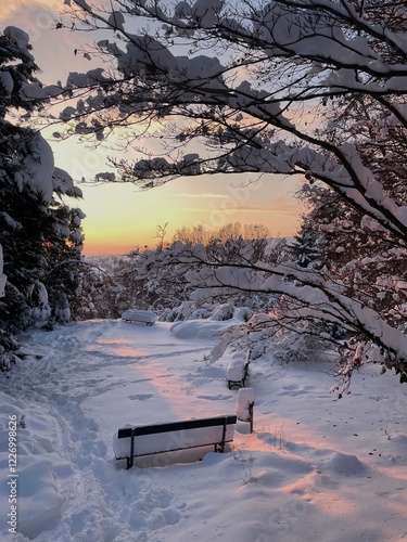bench in winter