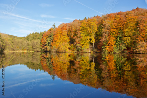 Fall panoramic forest in the lake with reflection.