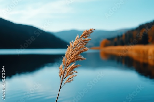 A single golden reed beautifully contrasting against a calm lakeshore, embodying peace and tranquility found in nature's quiet moments by the water's edge. photo