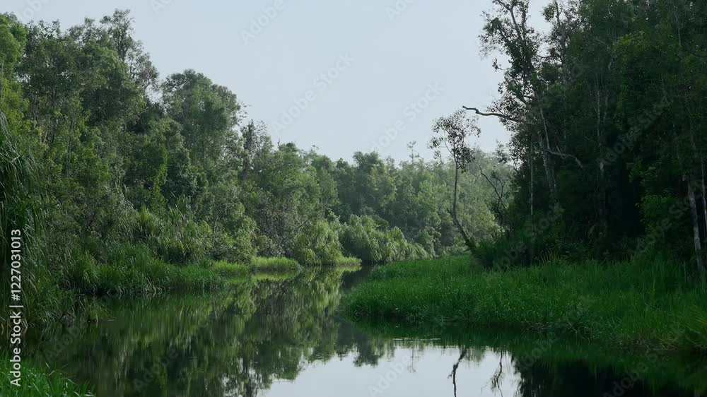 A wide shot of the forest and river appearing in varied shades of verdant green, undisturbed environment A wide shot of the forest and river appearing in varied shades of verdant green, undisturbed environment