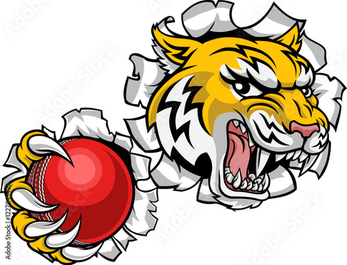 A wildcat or bobcat lynx bobcats wildcats sports team cricket ball mascot