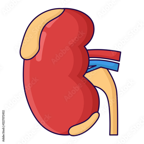 Kidney disease
