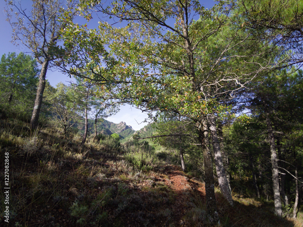 Obraz premium Pico de la Sarga