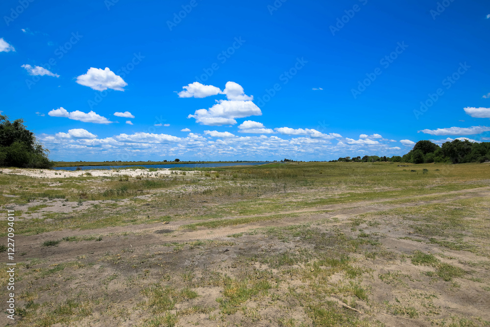 Fototapeta premium Spectacular panoramic views of the Chobe River, sandy riverbanks and wetlands. Green vegetation on the river bank. Botswana, Africa. Tourism and vacation concept.