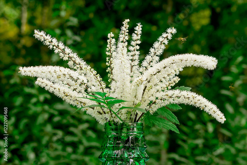 In a glass vase there is a fresh bouquet of racemose flowering bugbane.