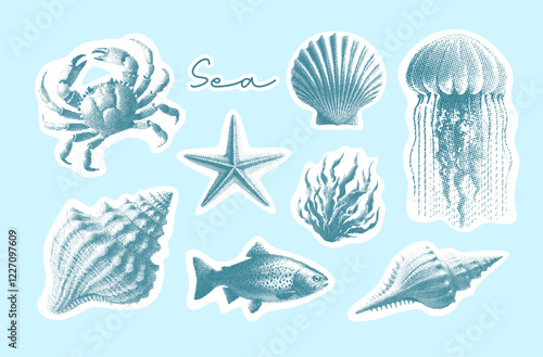 vintage sea elements collection, retro halftone photocopy style, seashell, jellyfish, crab, starfish, seaweed, stipple effect set illustration