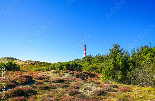 Bild auf Leinwand View of the dunes on the North Frisian island of Amrum