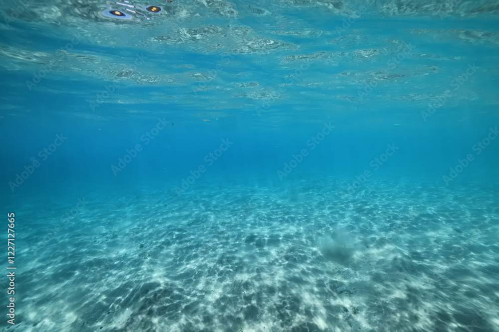 Fotografie underwater photo blue background panorama ocean surface and bottom of the sea