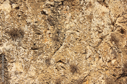 Close up view of rocky surface.