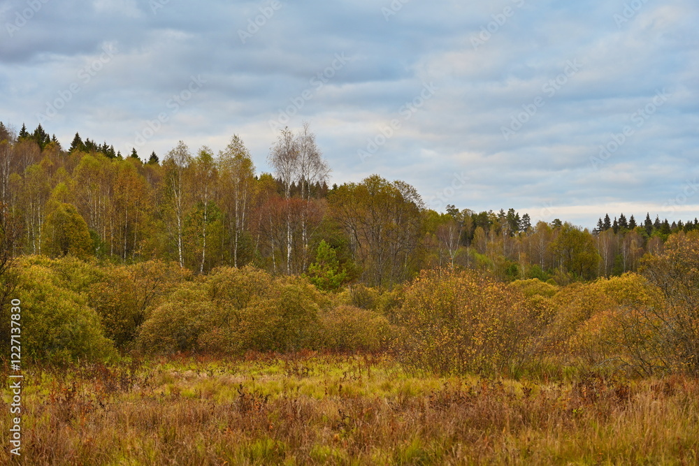 Cloud day in the autumn forest near Nikola-Lenivets village Cloud day in the autumn forest near Nikola-Lenivets village