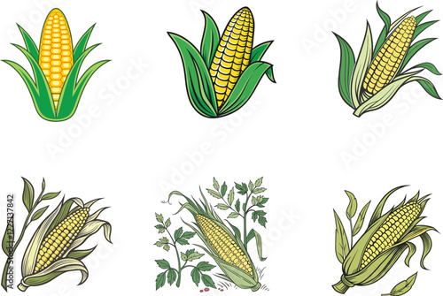 Agriculture themed Corn Illustrations. Collection of Yellow Corn Graphics Representing Harvest, Farming, and Fresh Produce for Design Projects.