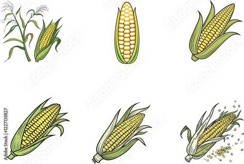 Agriculture themed Corn Illustrations. Collection of Yellow Corn Graphics Representing Harvest, Farming, and Fresh Produce for Design Projects.