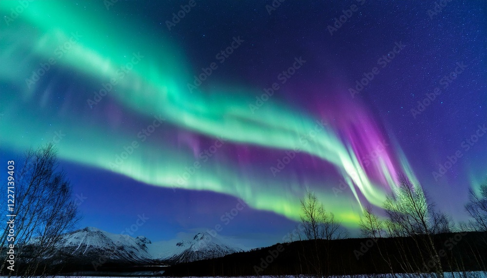 Fototapeta premium 夜空に広がる幻想的なオーロラの光の帯