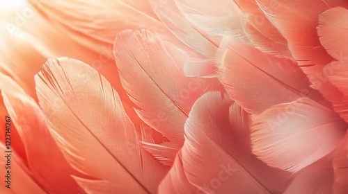 Pink flamingo feathers backlit, close-up texture, sunlight, nature background, design
