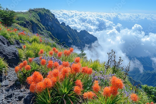 sunny morning glow behind mountains wallpaper